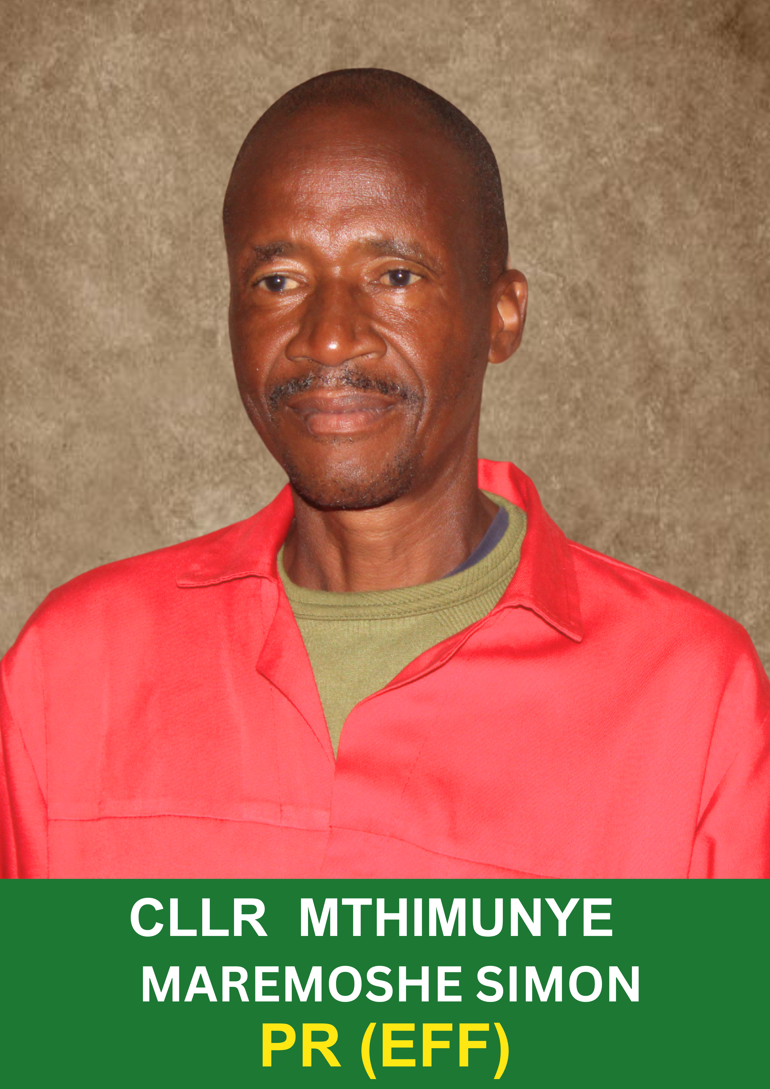 Team Member 3